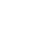 apple icon